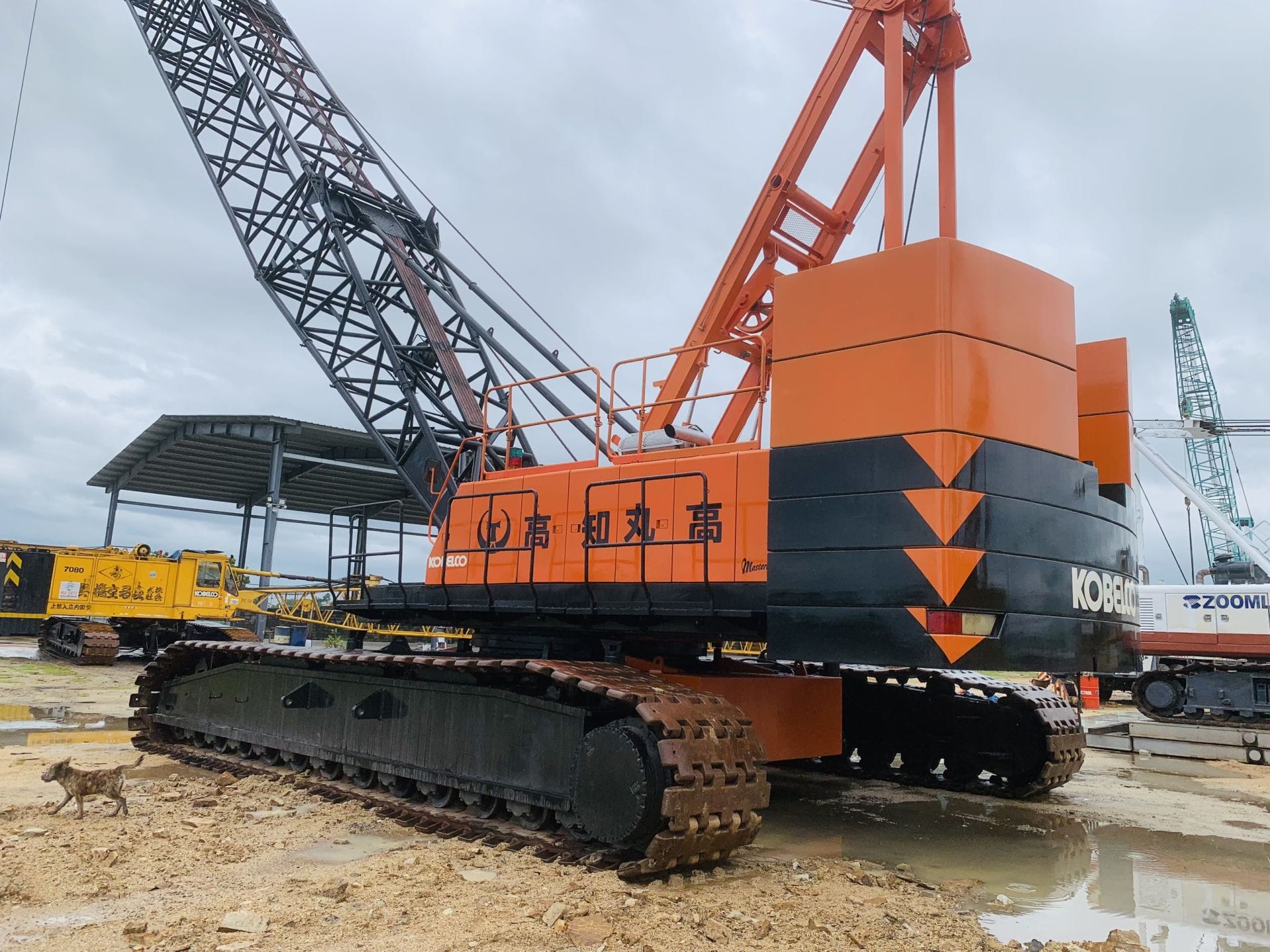 Xe cẩu bánh xích